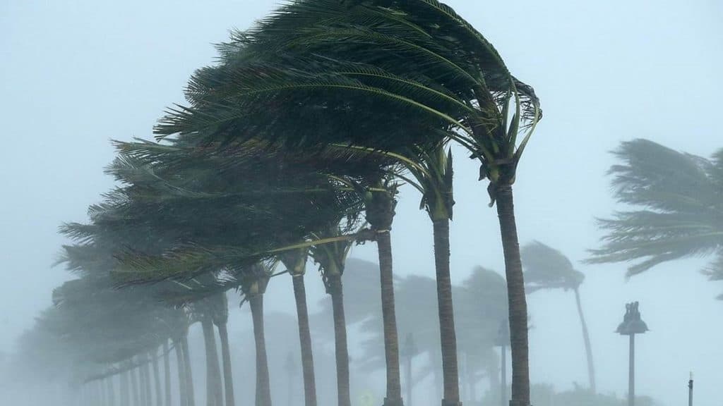 Mastering Disc Golf in the Wind A Beginner’s Guide