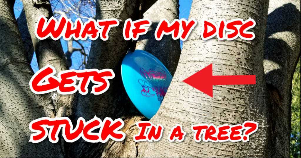 What if My Disc Golf Disc Gets Stuck in a Tree?