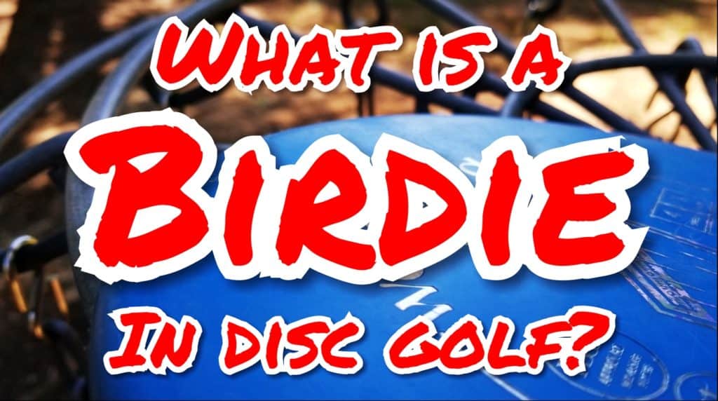 What is a Birdie in Disc Golf?