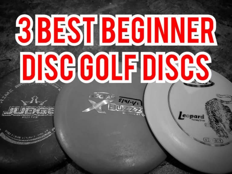 The 3 Best Beginner Disc Golf Discs for 2024 (Leopard, Buzzz, Judge)